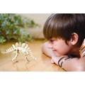 Estegossauro, Brinquedo Educativo, Kit Paleontologia, Escavação fósseis e Esqueleto, 7+