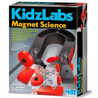 Ciência Magnética Kit Educativo 10em1: Imã, Bussola, Escultura, Veiculo etc