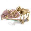 Mamute, Brinquedo Educativo, Kit Paleontologia, Escavação fósseis e Esqueleto, 7+
