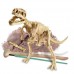 Tiranossauro Rex, Brinquedo Educativo, Kit Paleontologia, Escavação Esqueleto, 7+