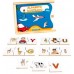 Kit Escolar Linguagem, Alfabetização, Letras, Educativo Combo 3 jogos, 4 a 6A + BRINDE