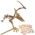 MDF-Combo4 dinossauros Kit Montagem + de 120 pcs Dimeterodon Pterodactilo Dilofossauro