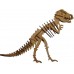 MDF-Combo Kit Montagem 4 Projetos +de 300pcs Esqueleto, Aranha, T-Rex, Dragão Chinês