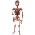 Esqueleto de Montar, Quebra-Cabeça 3D, 119 peças, Brinquedo MDF