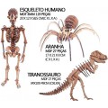 MDF-Combo Kit Montagem 3 Projetos +de 170pcs Esqueleto, Aranha e Tiranossauro Rex