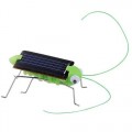 Grilo, Gafanhoto Movido A Energia Solar Educativo, Sem Pilhas, brinquedo ecológico