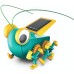 Inseto Robô Energia Solar Brinquedo Sustentável Montagem DIY STEM Educativo