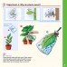 Ciência das Plantas, Kit Little Lab Plants Science, Experimentos com Plantas