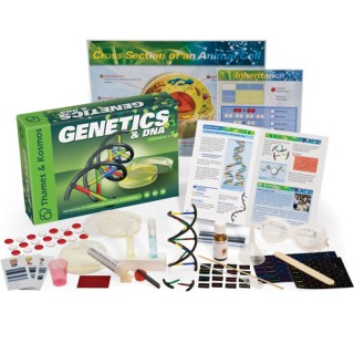 Genética e DNA, Kit Ciência Educacional Biologia Molecular, 22 Experimentos