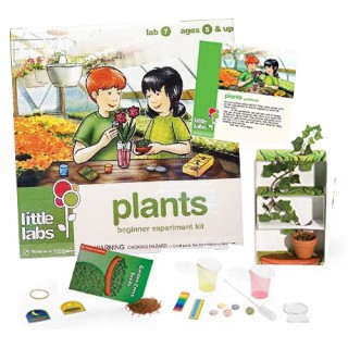 Ciência das Plantas, Kit Little Lab Plants Science, Experimentos com Plantas